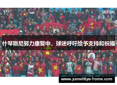 什琴斯尼努力康复中，球迷呼吁给予支持和祝福